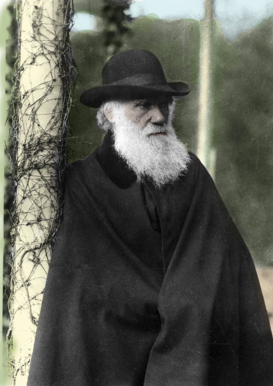 Fotografický portrét Charlese Darwina (1809 - 1882), anglického přírodovědce v roce 1881. od Unknown photographer