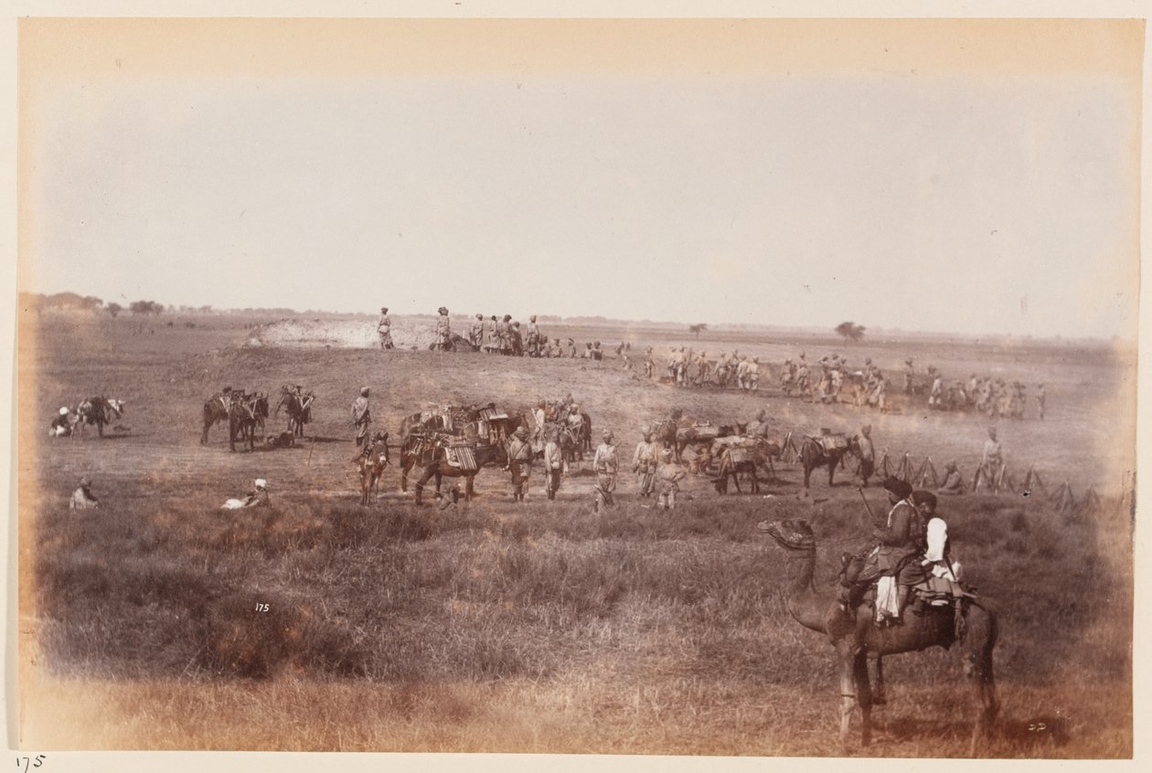 Sapéři a horníci vytvářející příkopy během cvičení v Dillí, kolem roku 1885 od Unknown