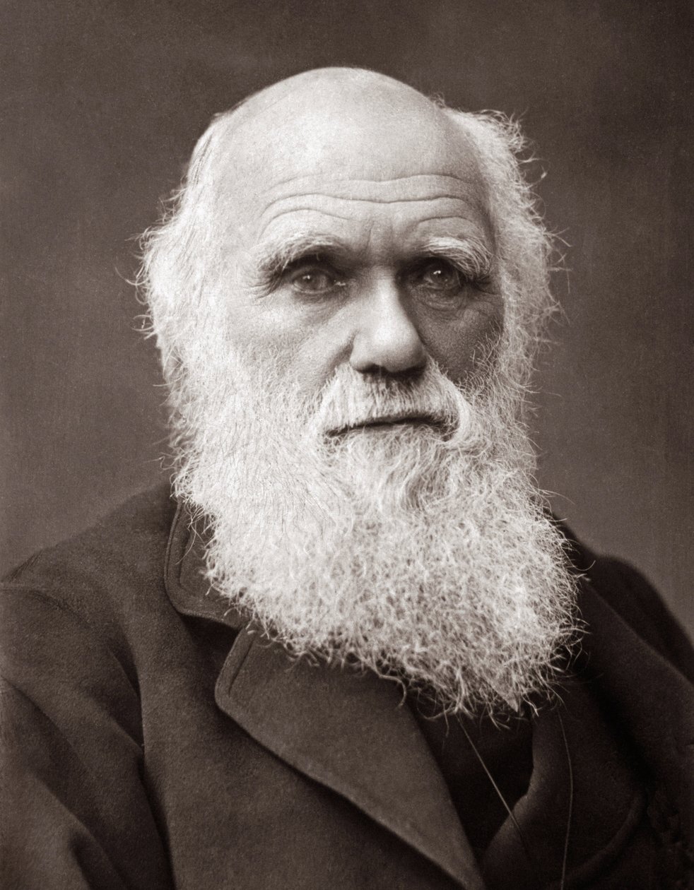 Anglický přírodovědec Charles Robert Darwin (1809-1882) od Unknown photographer