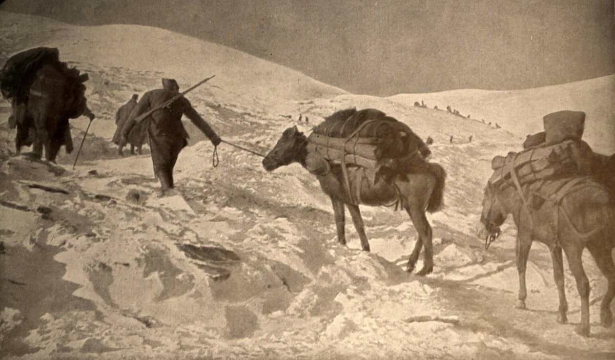 Francouzské a italské polohy mají více než 2 metry sněhu nad mořem. od Unknown photographer