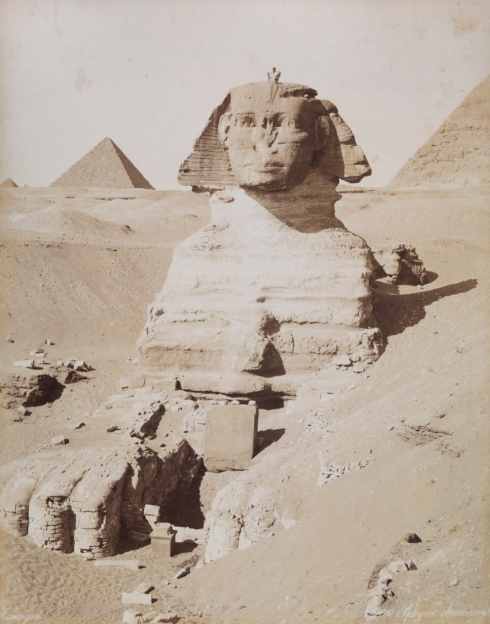 Sfinga a v pozadí Velká Cheopsova pyramida. Káhira, El Gíza od Unknown photographer