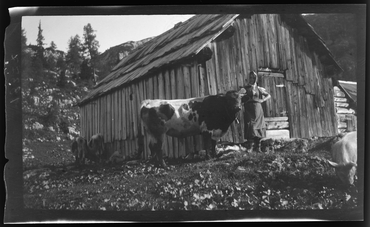 Vorderbachalm (horská pastvina) s horskou chatou u Goesslu u jezera Grundl od Unknown photographer