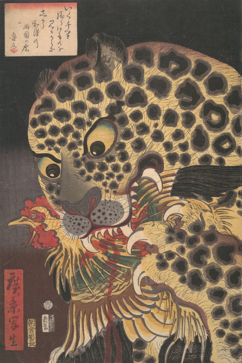 „Tygr z Ryokoku“ ze série True Scenes od Hirokage, 8. měsíc, 1860., od Utagawa Hirokage