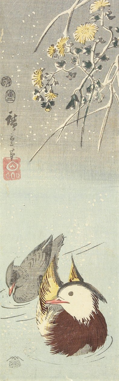 (Chryzantéma a mandarínské kachny), únor 1854 od Utagawa Hiroshige