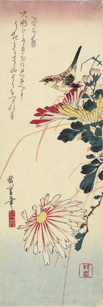 (Chryzantémy a ťuhýk), 1830-1858 od Utagawa Hiroshige