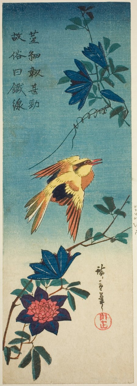 (Faksimile?) Žluva černohlavá a plamének od Utagawa Hiroshige
