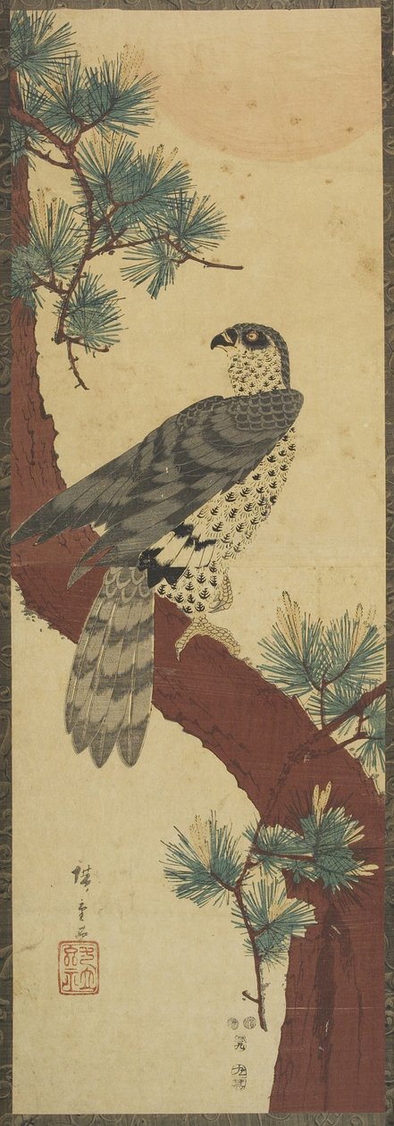 (Jestřáb na větvi borovice, léto), září 1853 od Utagawa Hiroshige
