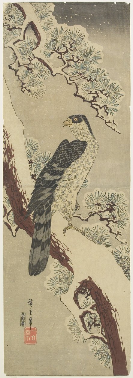 (Hawk on Pine Branch, Winter), počátek 19. století od Utagawa Hiroshige