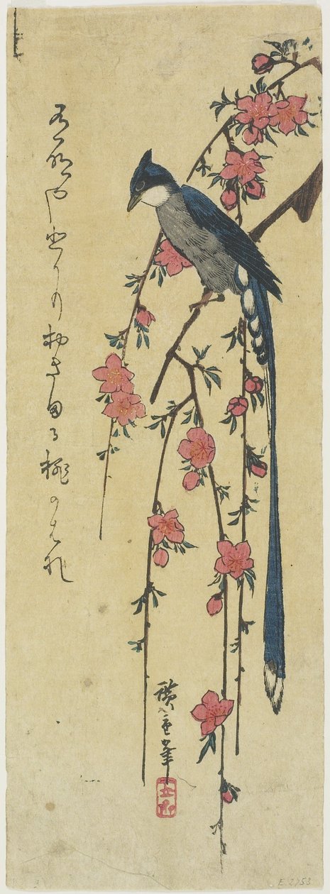 (Dlouhoocasý kohout na visící třešni) od Utagawa Hiroshige