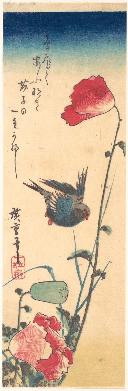 Ein Blaukehlchen und Mohnblumen od Utagawa Hiroshige