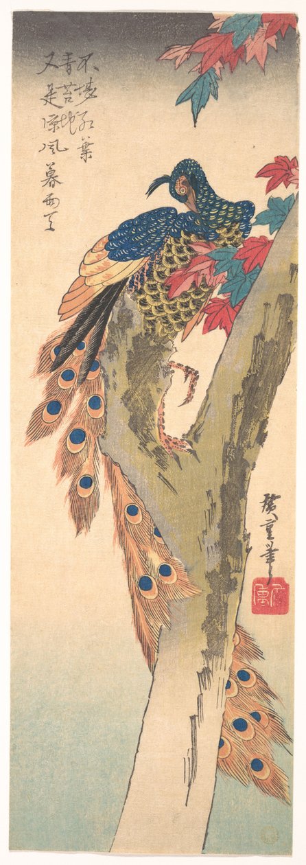 Páv sedící na javoru od Utagawa Hiroshige
