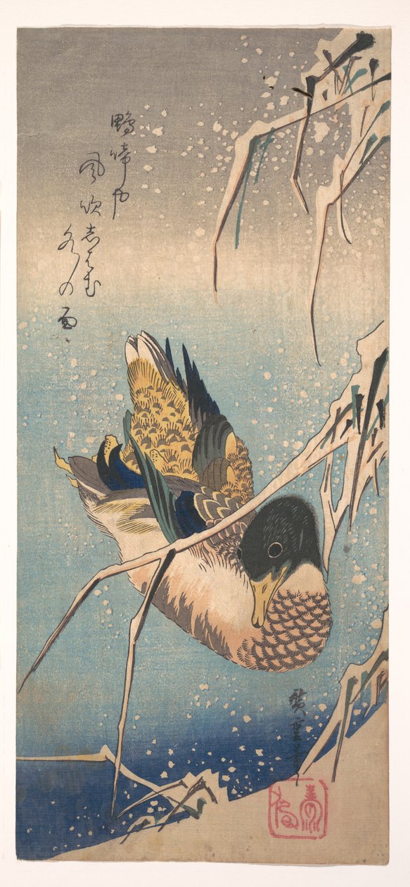 Divoká kachna u zasněženého břehu od Utagawa Hiroshige