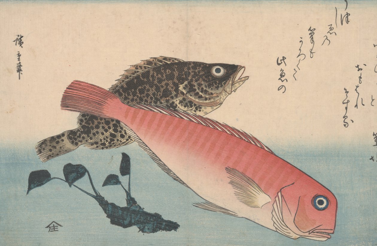 Tilefish, rockfish plan d wasabi roadt od Utagawa Hiroshige