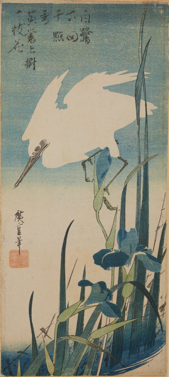 Bílá volavka v letu a modré kosatce / Shobu to shirasagi od Utagawa Hiroshige