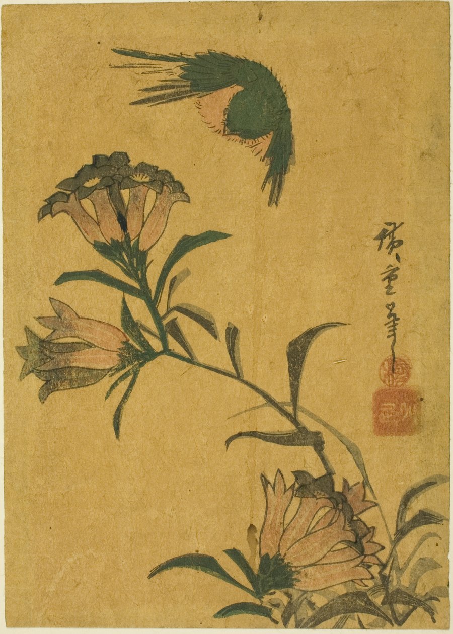 Pták a hořec od Utagawa Hiroshige