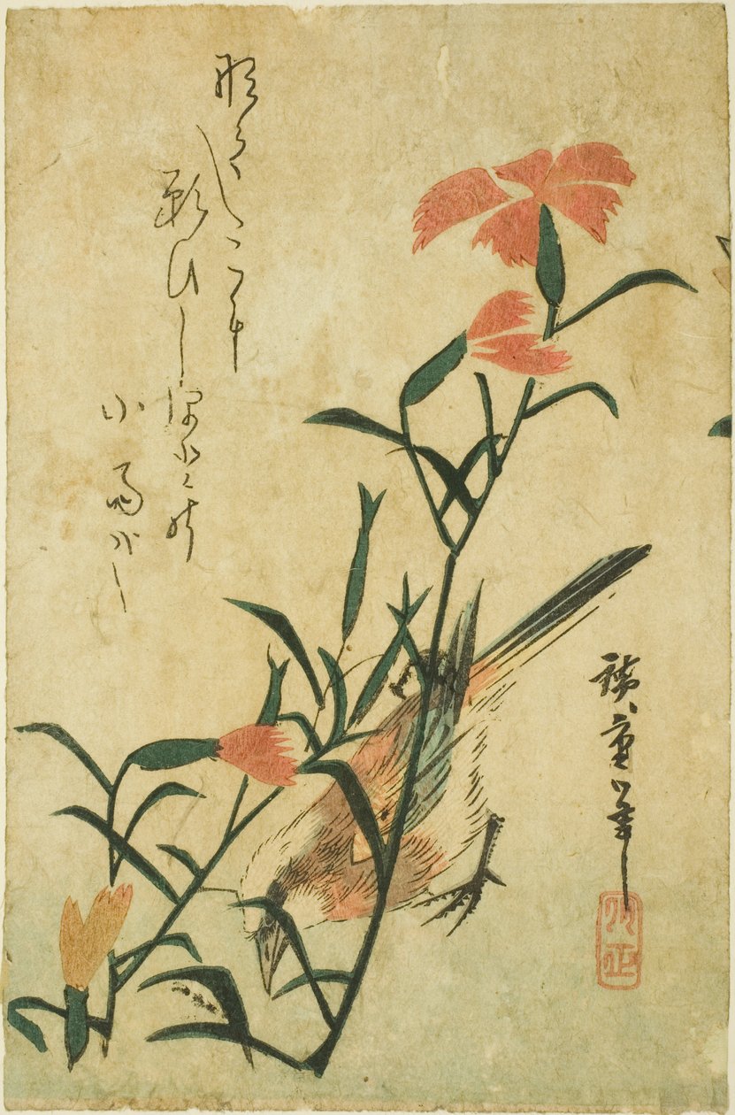 Pták a divoký karafiát od Utagawa Hiroshige