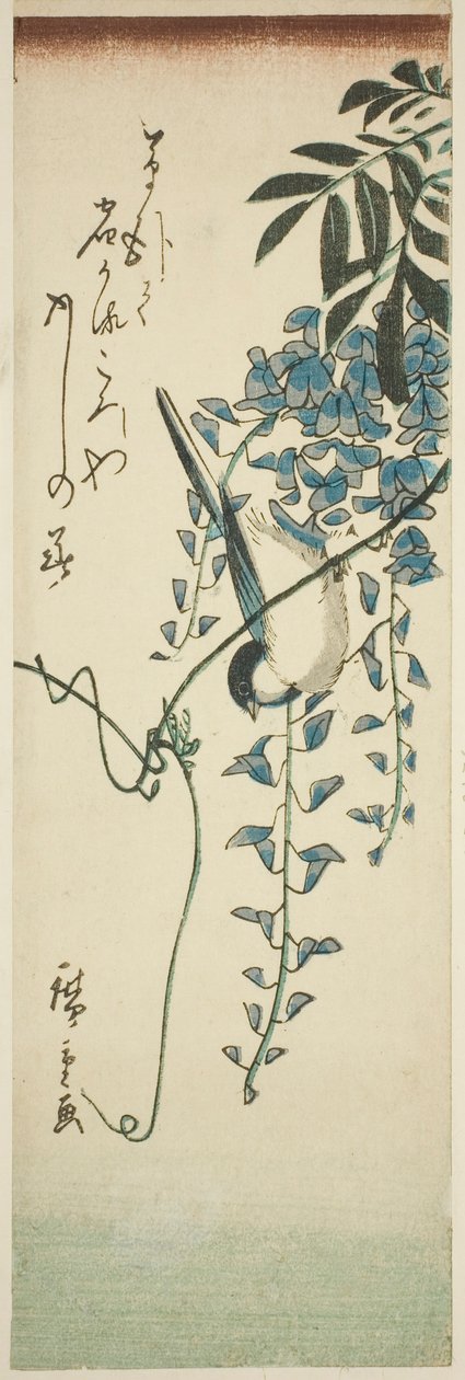 Pták a vistárie od Utagawa Hiroshige