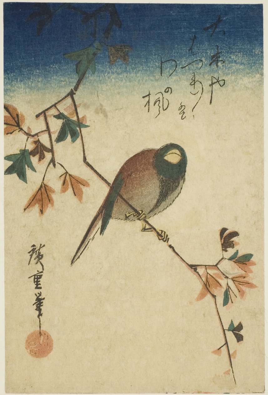 Pták na javorové větvi od Utagawa Hiroshige