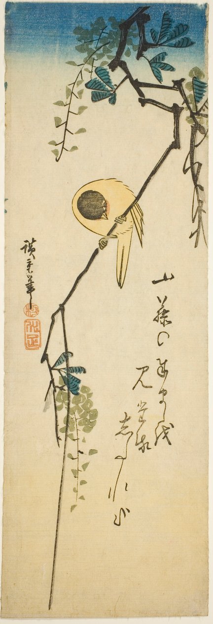 Pták na hedvábné vistárii od Utagawa Hiroshige