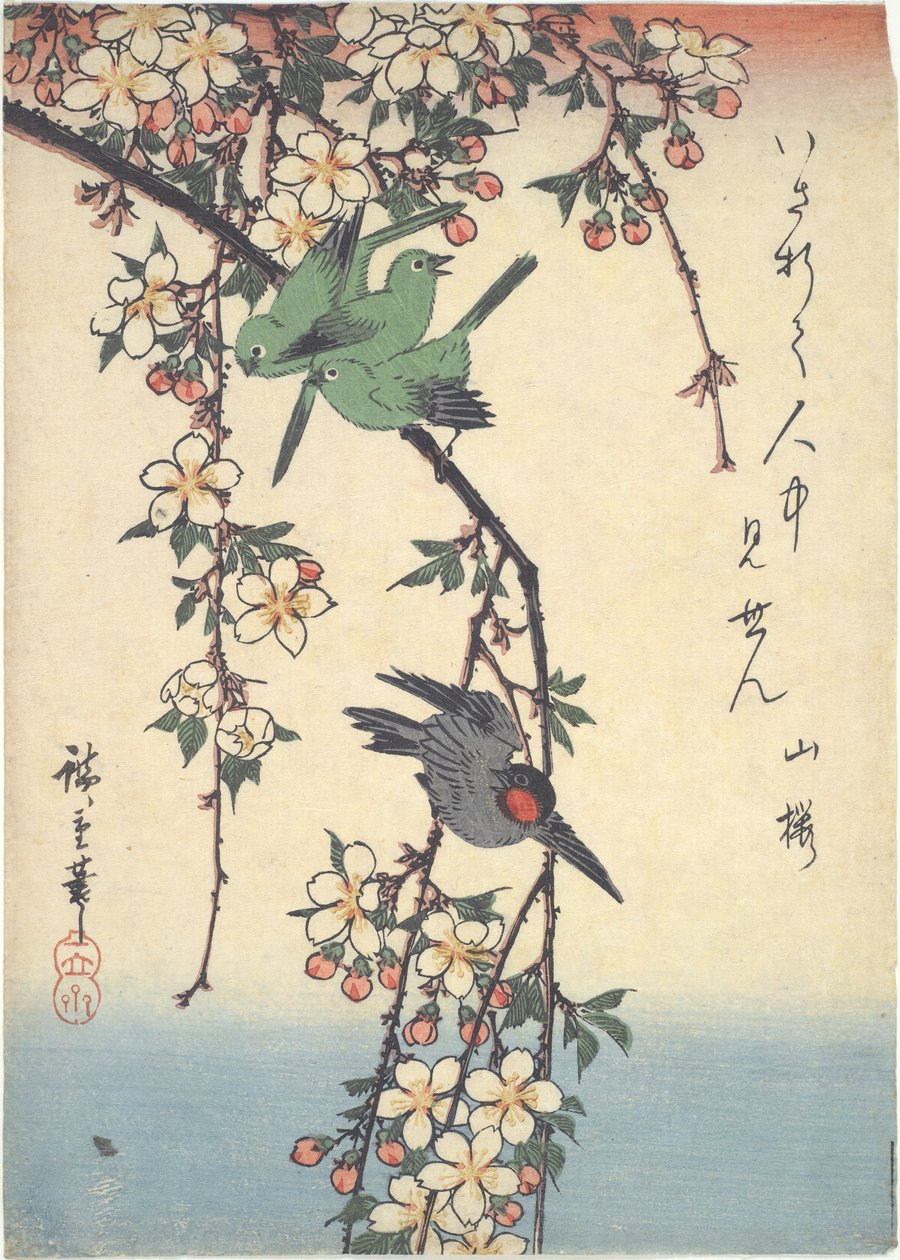 Ptáci na třešňové větvi od Utagawa Hiroshige