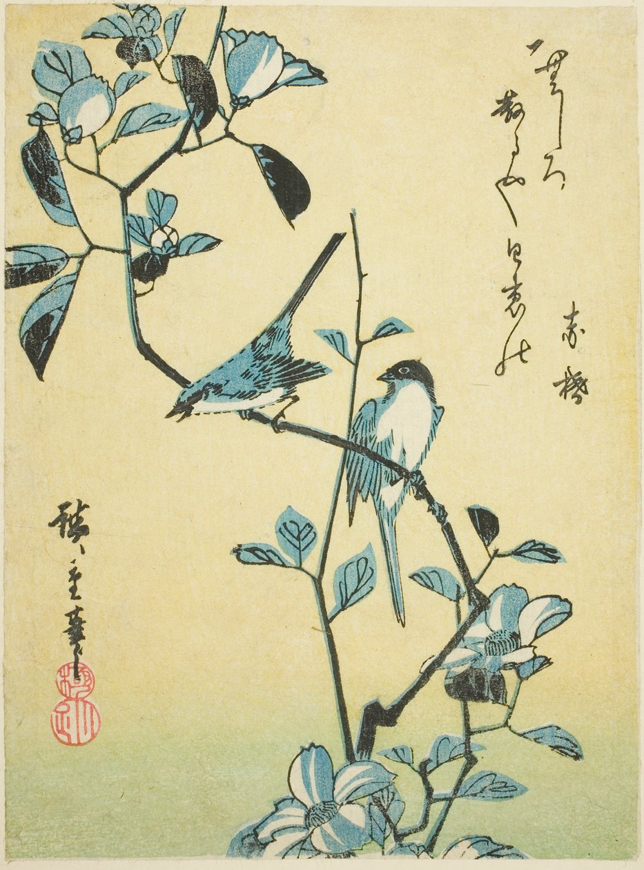 Ptáci na větvi kamélie od Utagawa Hiroshige