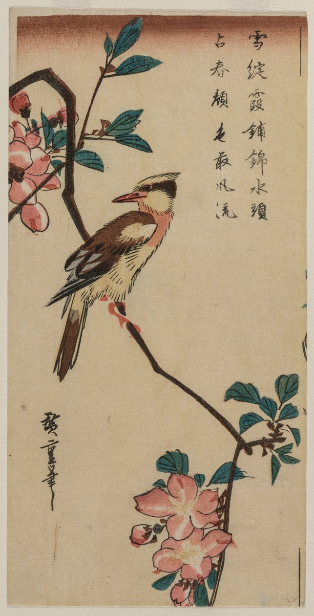 Žluva černohlavá (korejský pěnice) na Hall Crabapple od Utagawa Hiroshige