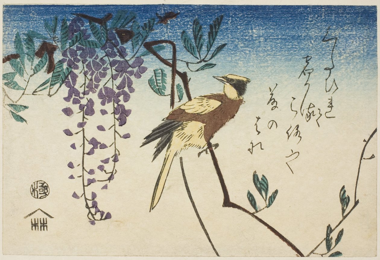 Žluva černohlavá a vistárie od Utagawa Hiroshige