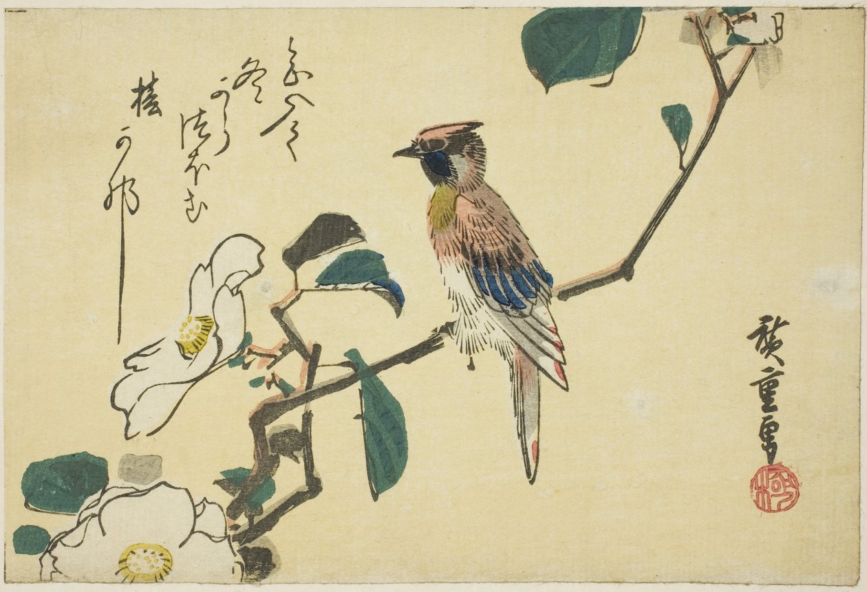 Žluva černohlavá na větvi kamélie od Utagawa Hiroshige