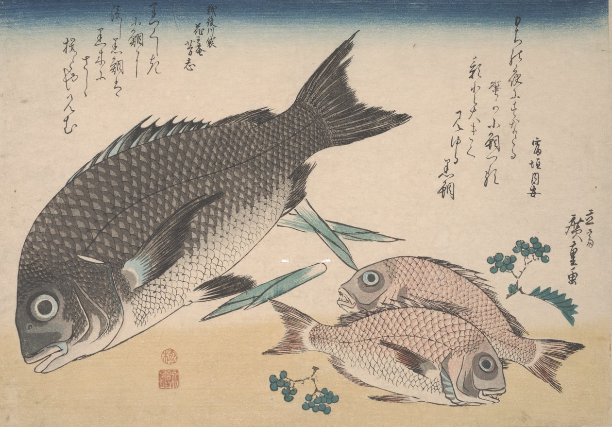 Pražma černomořská, Pražma malá, výhonky chřestu a pepř Sansho, kolem 1830 od Utagawa Hiroshige