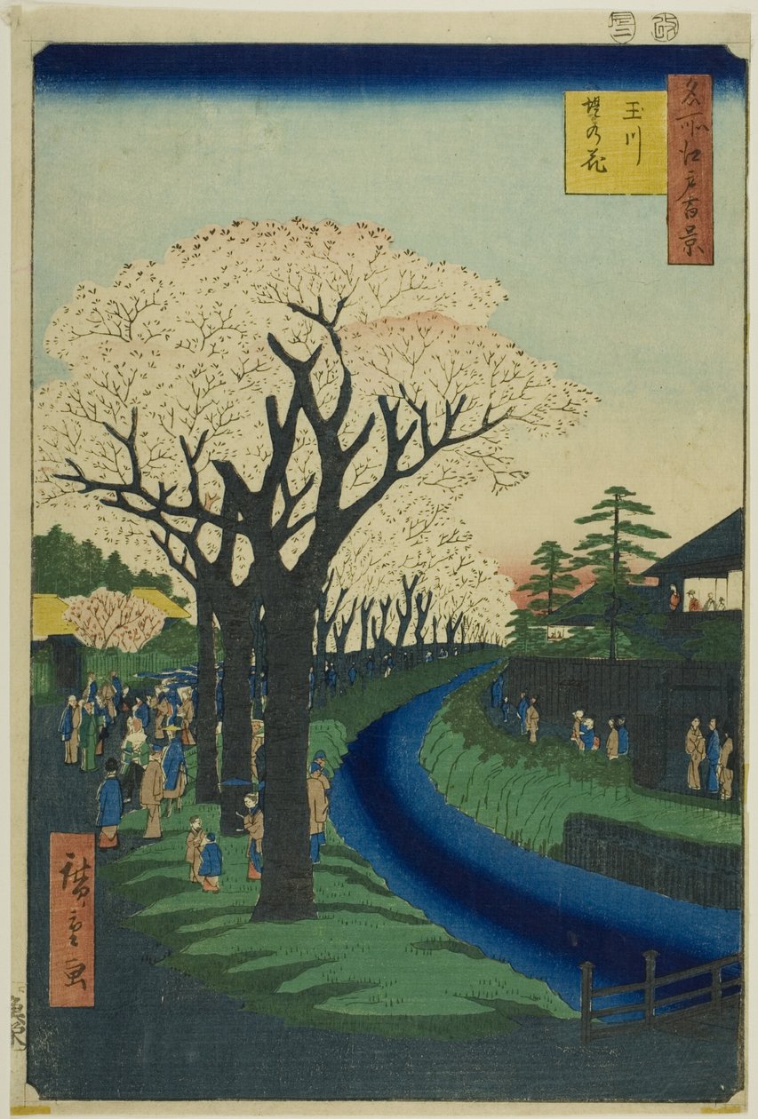 Květy na nábřeží řeky Tama (Tamagawa-zutsumi no hana), ze série "Sto slavných pohledů na Edo (Meisho Edo hyakkei)". od Utagawa Hiroshige