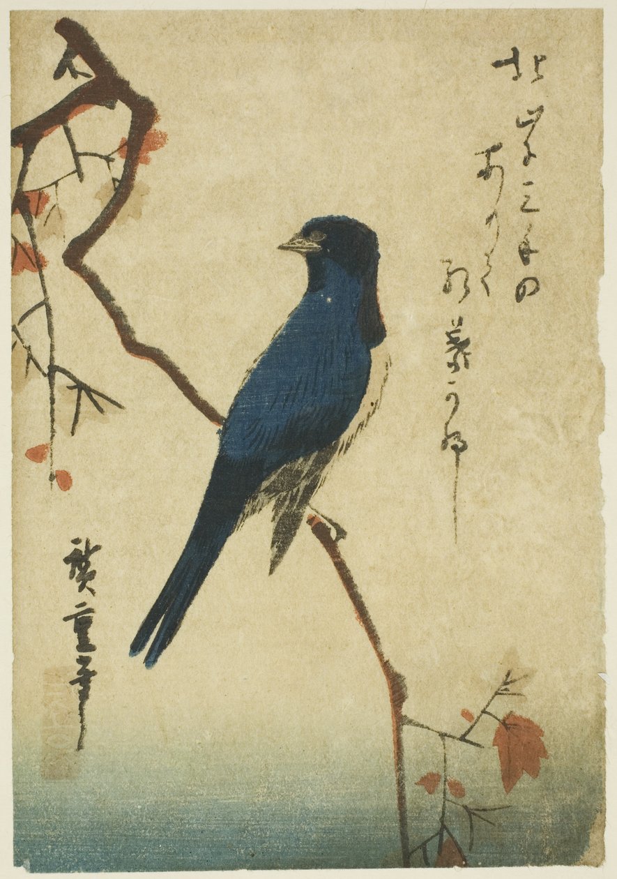 Modrý pták na javorové větvi od Utagawa Hiroshige