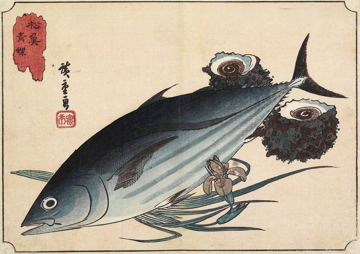 Bonito a Top Shells, počátek 19. století od Utagawa Hiroshige