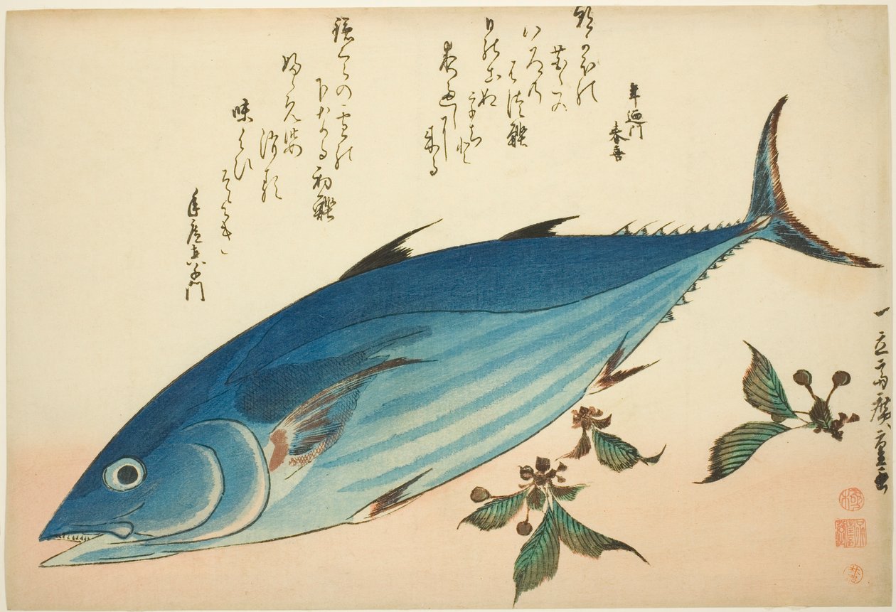 Bonito a lomikámen, z nepojmenované série ryb od Utagawa Hiroshige