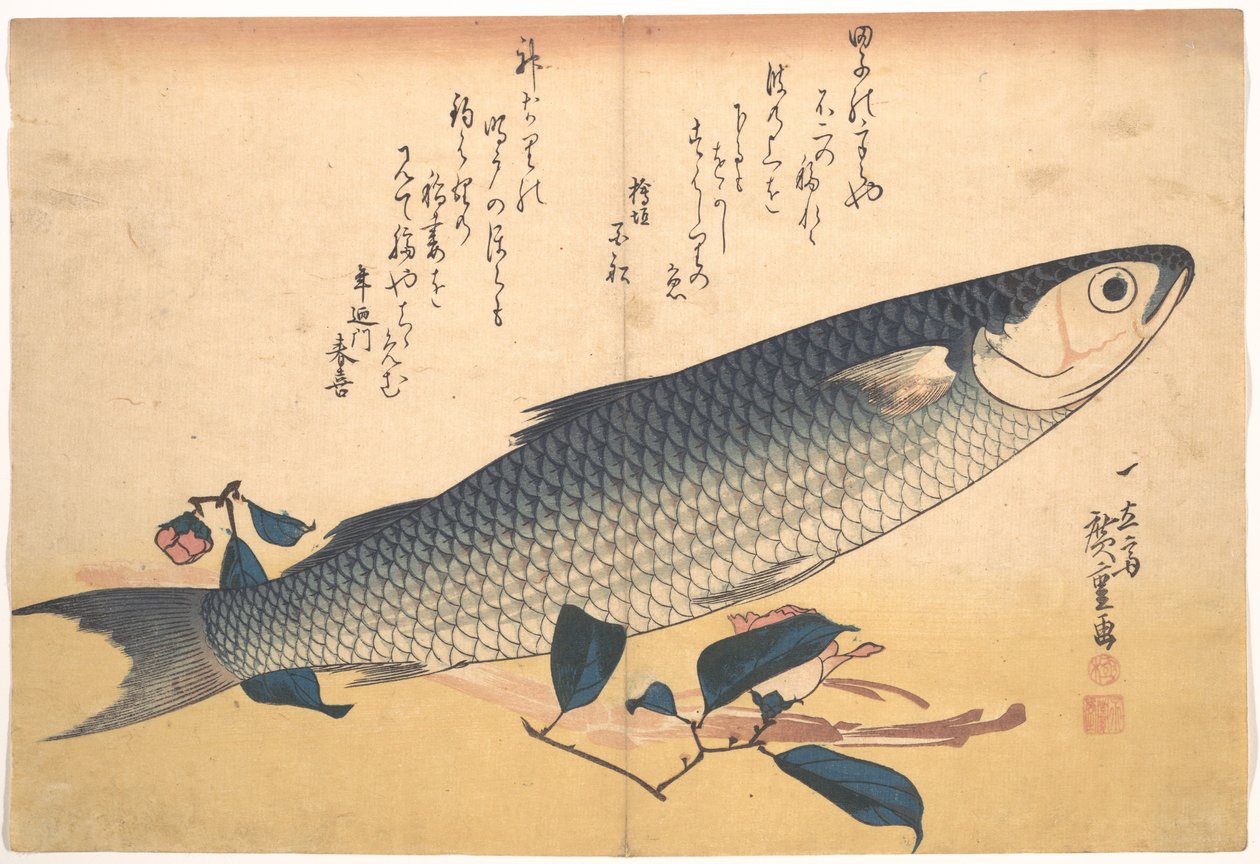 Ryba bora s kamélií, ze série Uozukushi (Všechny druhy ryb) od Utagawa Hiroshige