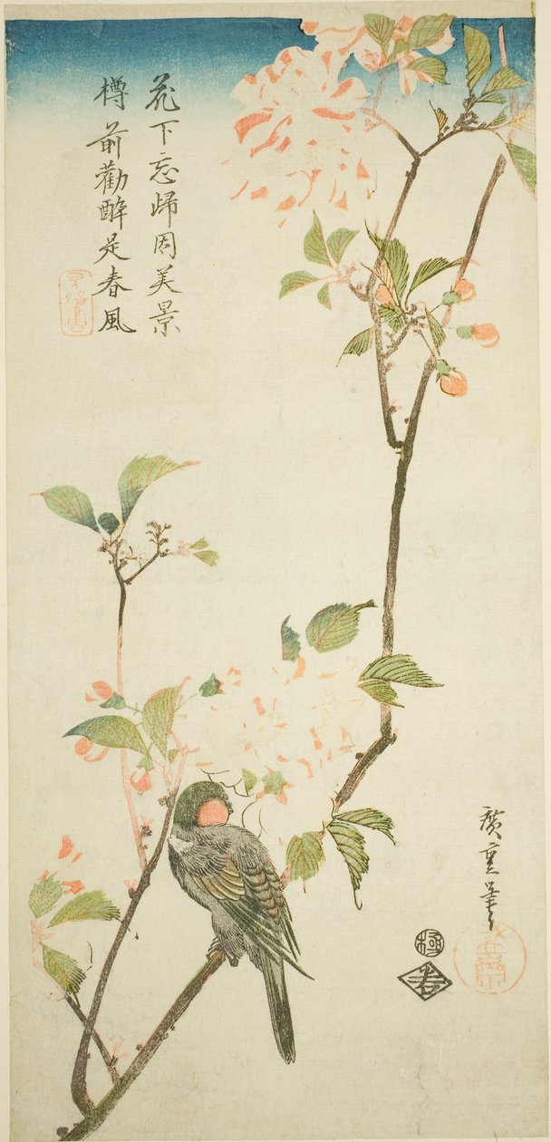Hýl na větvi arónie od Utagawa Hiroshige