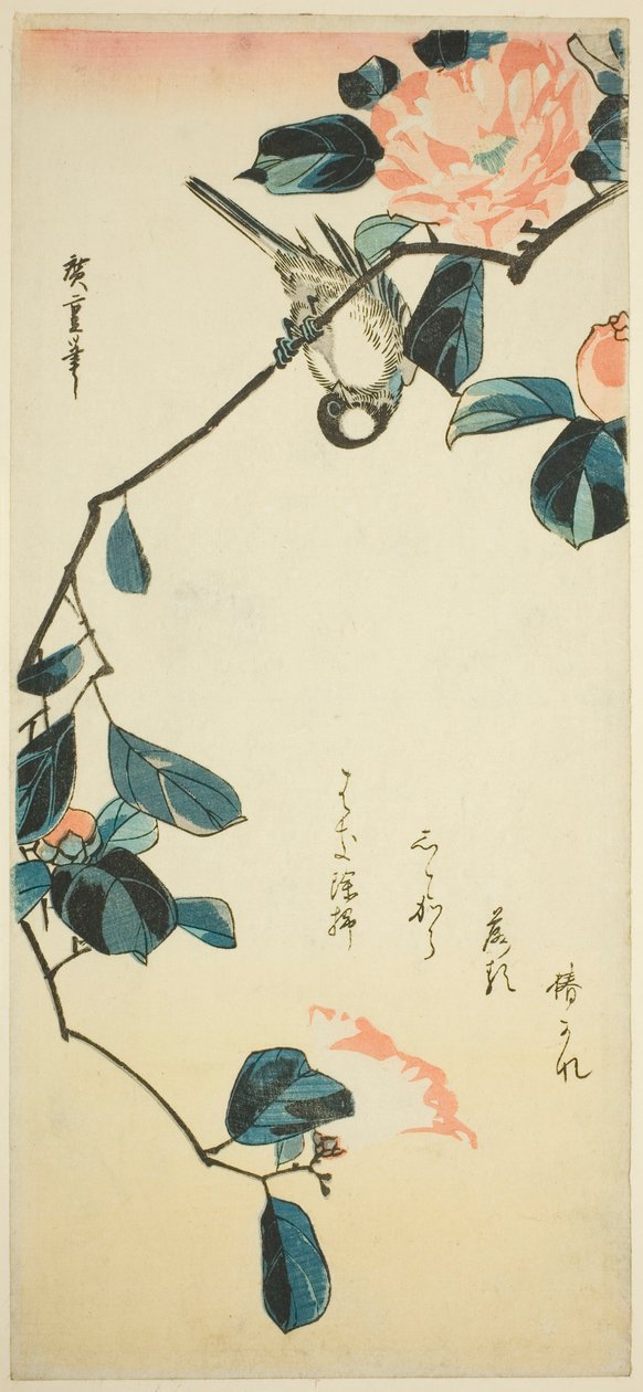 Hýl na větvi kamélie od Utagawa Hiroshige