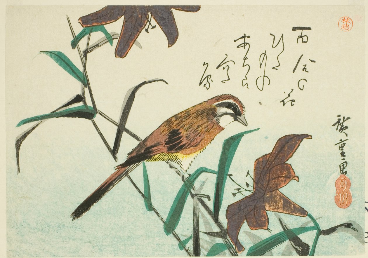 Strnad a lilie od Utagawa Hiroshige