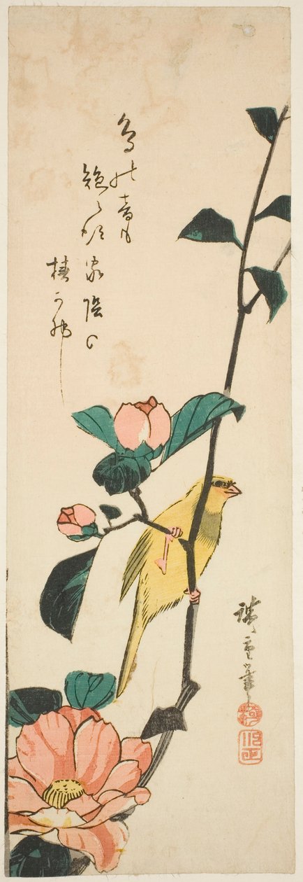 Kanárské a kamélie od Utagawa Hiroshige
