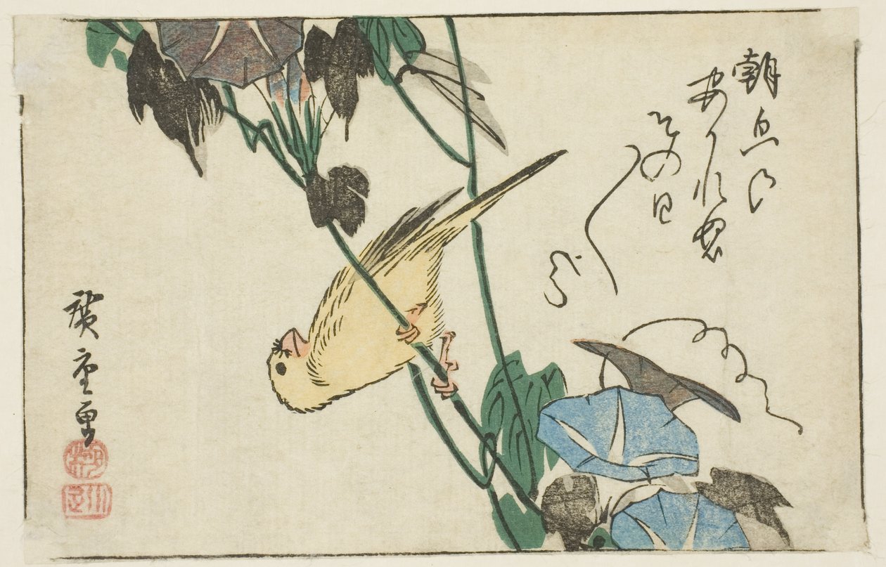 Kanárské a ranní slávy od Utagawa Hiroshige