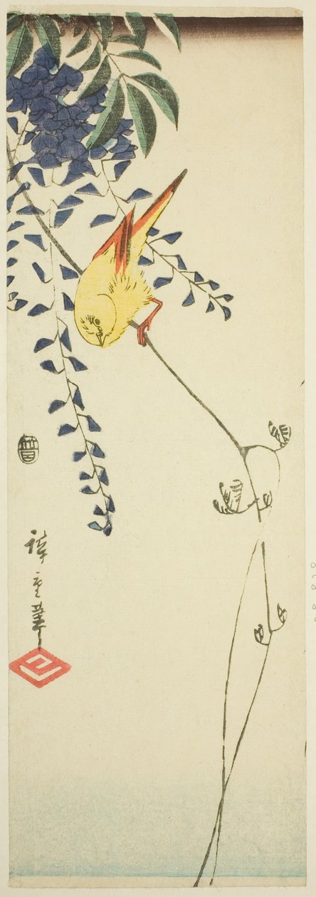 Kanárské a vistárie od Utagawa Hiroshige