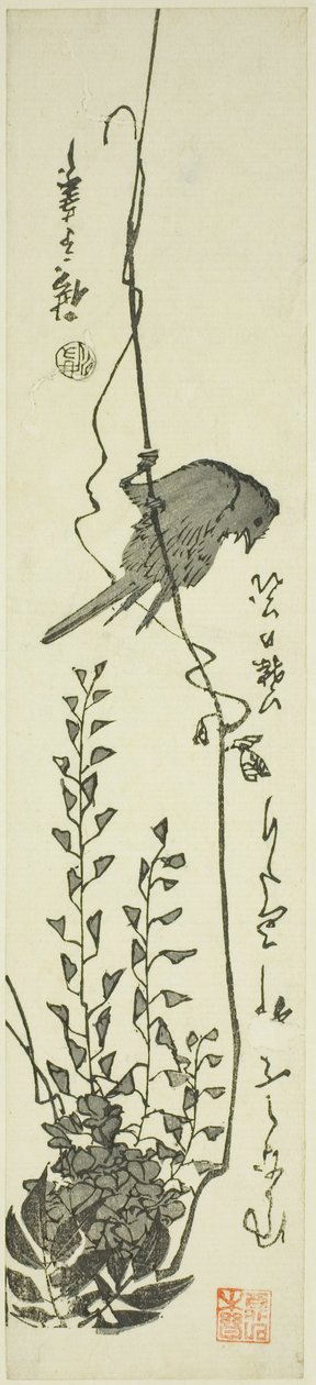 Kanárské a vistárie od Utagawa Hiroshige