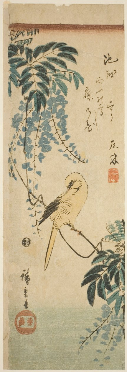 Kanárské a vistárie od Utagawa Hiroshige