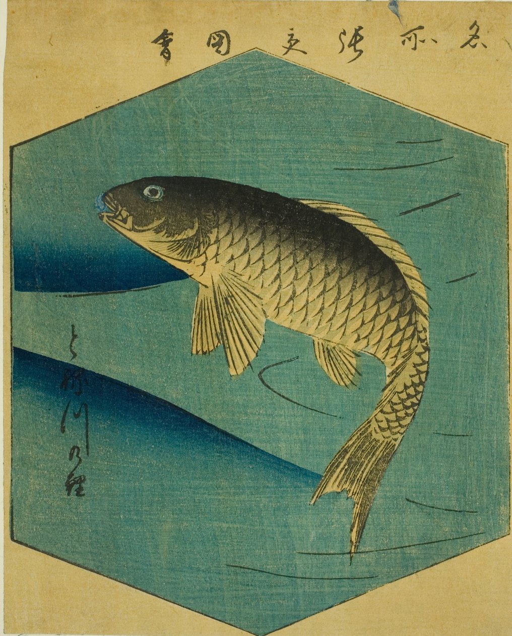 Kapr v řece Tone (Tonegawa no koi), část listu ze série "Vystřižené obrázky slavných míst v Edo (Edo meisho harimaze zue)" od Utagawa Hiroshige
