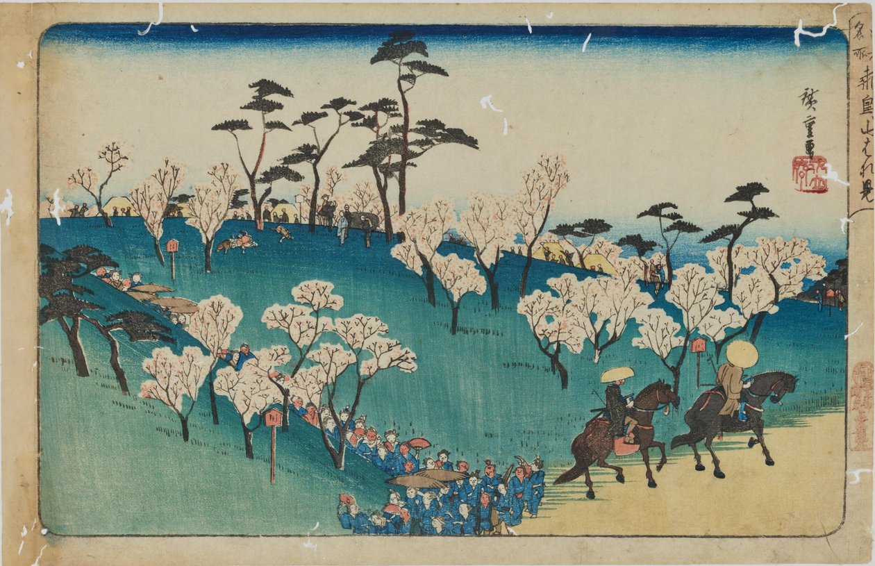 „Prohlídka třešňových květů na kopci Asuka“ ze série „Slavná místa Eda“ od Utagawa Hiroshige
