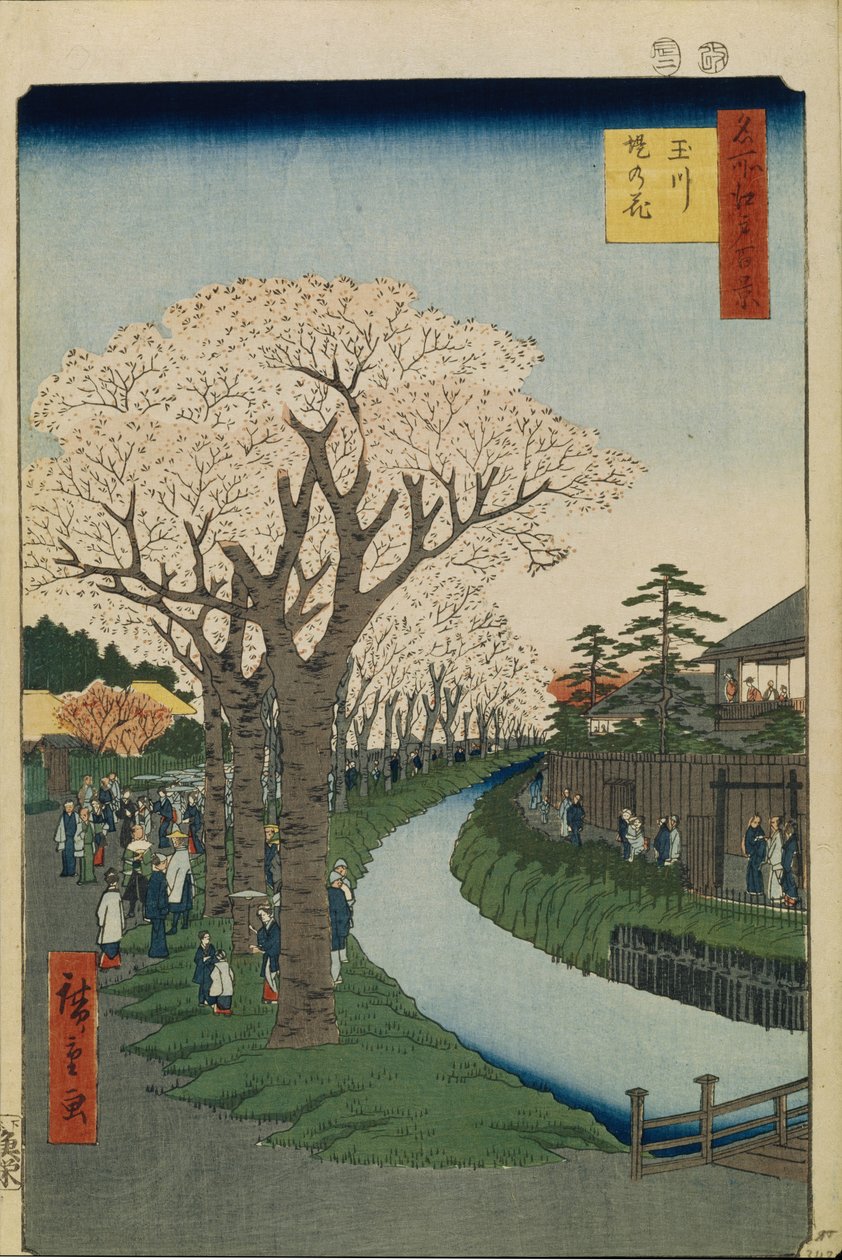 Třešňové květy na břehu řeky Tama Sto slavných pohledů na Edo, 1856-1858 od Utagawa Hiroshige