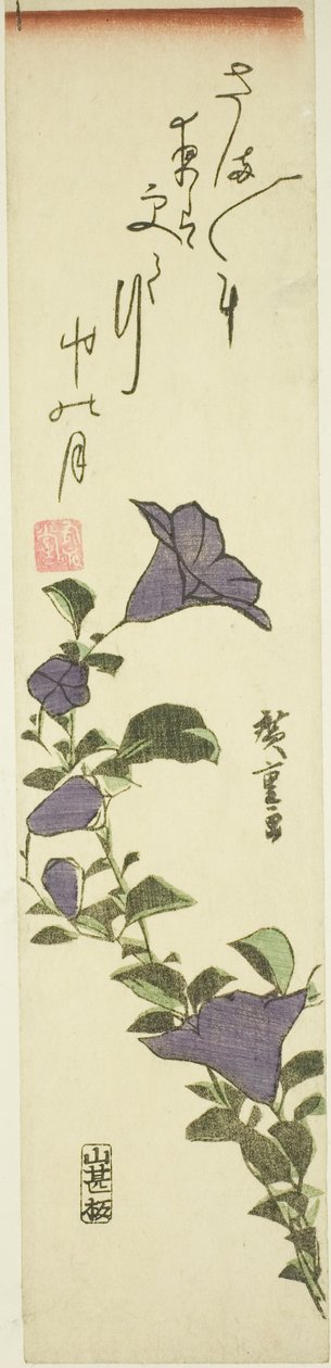 Čínský zvon květiny od Utagawa Hiroshige