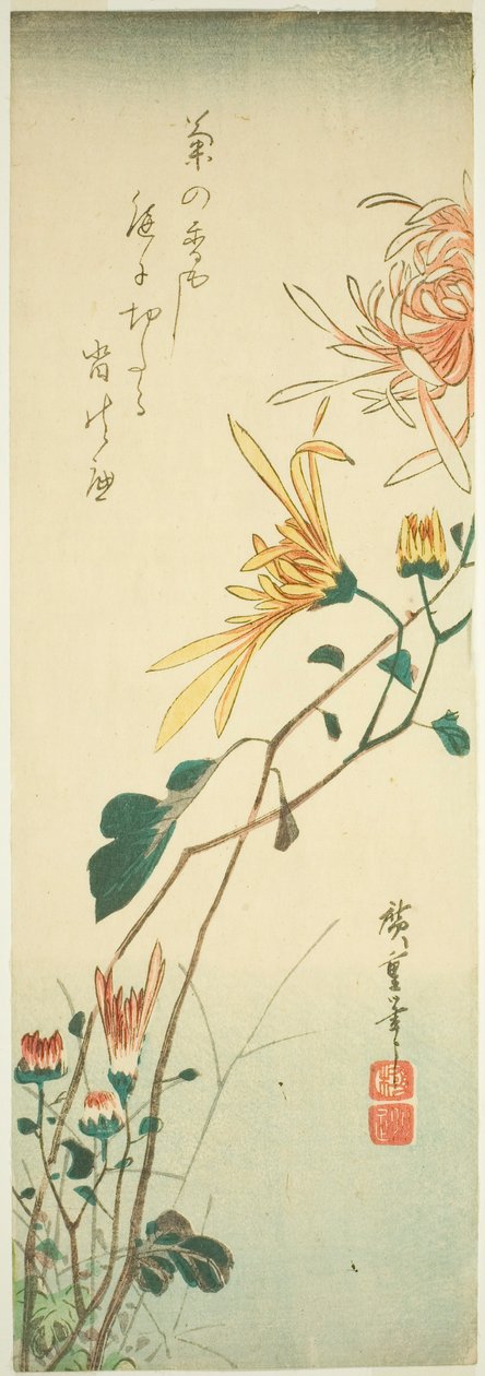 Chryzantémy od Utagawa Hiroshige