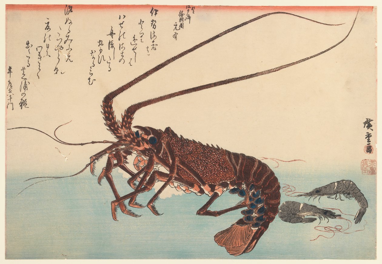 Raci a dvě krevety, ze série Great Fish (zahájeno 1832), 1840 (barevný dřevotisk) od Utagawa Hiroshige