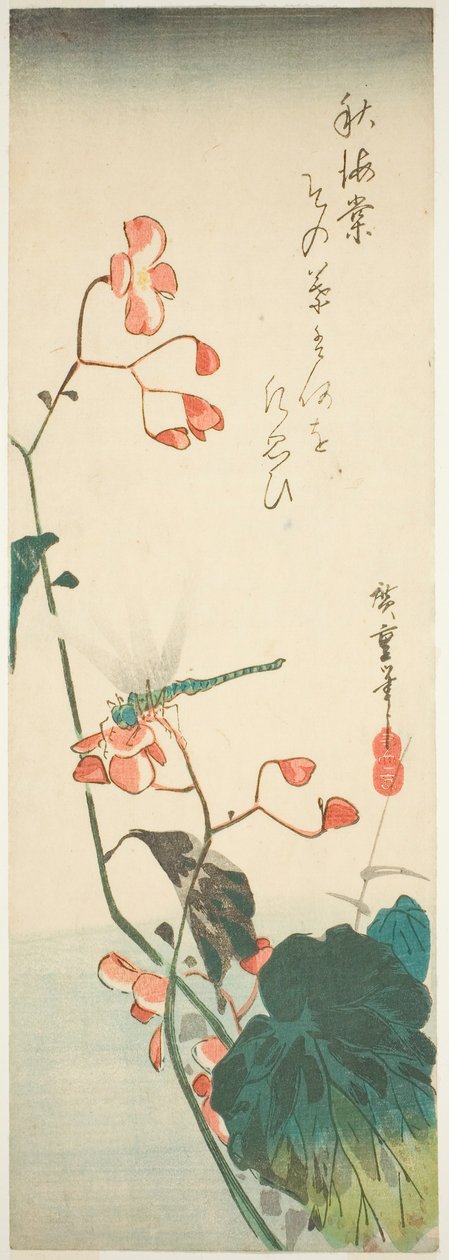 Vážka a begonie od Utagawa Hiroshige