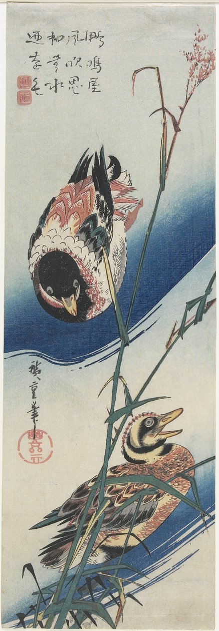 Kachny a rákosí, 1834-1839 od Utagawa Hiroshige